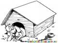 Dibujo De Hombre En Casa De Perro Para Pintar Y Colorear