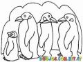 Familia De Pinguinos Para Pintar Y Colorear