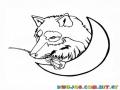 Dibujo De Lobo En La Luna Con Una Rosa En El Hocico Para Pintar Y Colorear