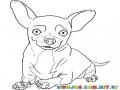 Yo Quiero Taco Bell Dibujo Del Perro De Tacobell Para Pintar Y Colorear
