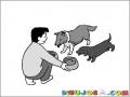 Concentrado Y Alimento Para Perro Dibujo De Hombre Alimentando A Sus Perros Para Pintar Y Colorear