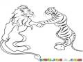Leon Y Tigre Haciendo Las Paces Dibujo De Un Leon Dando La Mano A Un Tigre Para Pintar Y Colorear L
