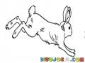 Conejo Saltando Para Pintar Y Colorear El Salto Del Conejo
