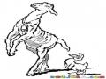 La Cabra Y El Pato Dibujo De Cabra Caminando En 2 Patas A La Par De Un Patito Para Pintar Y Colorear