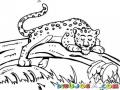 Dibujo De Leopardo Durmiendo En El Tronco De Un Arbol Para Pintar Y Colorear