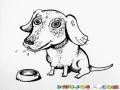 La Necesidad Tiene Cara De Perro Dibujo De Perro Hambriento Para Pintar Y Colorear La Cara De La Necesidad