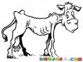 Vacasflacas Dibujo De Vaca Flaca Delgada Y Raquitica Para Pintar Y Colorear Vaquita Hambrienta Y Desnutrida