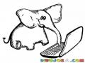 Elefante Con Laptop Para Pintar Y Colorear Elefantito Escribiendo En Una Portatil