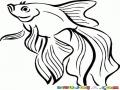 Pez Dorado Dibujo De Pescadito De Colores Para Pintar Y Colorear Pecesito De Pecera Nadando En El Agua