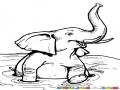 Dibujo De Elefante Jugando Y Chapoteando En El Agua Para Pintar Y Colorear