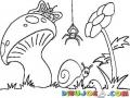 Dibujo De Animalitos E Insectos Silvestres Para Pintar Y Colorear Mariposa Arana Caracol Y Gusano Con Un Hongo Y Una Flor