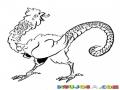 Dibujo De Un Gallo Con Cola De Iguana Para Pintar Y Colorear