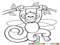Mono Colgando De Una Rama Para Pintar Y Colorear Mico Con Alas De Libelula