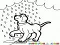 Perro Bajo La Lluvia Para Pintar Y Colorear