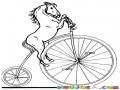 Dibujo De Un Caballo Montando Bicicleta Para Pintar Y Colorear