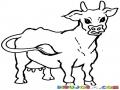 Dibujo De Vaca Enojada Para Pintar Y Colorear