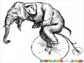 Dibujo De Elefante En Bicicleta Para Pintar Y Colorear