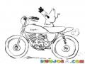 Dibujo De Pollo Acrobata En Moto Para Pintar Y Colorear