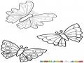 Dibujo De 3 Mariposas Para Pintar Y Colorear Tresmariposas