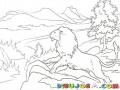Dibujo De Aslan El Leon De Narnia Para Pintar Y Colorear