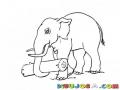 Dibujo De Elefante Con Un Tronco En La Trompa Para Pintar Y Colorear
