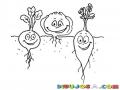 Dibujo De Verduras Plantadas En El Suelo Para Pintar Y Colorear Verduritas Felices