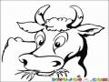 Dibujo De Vaca Comiendo Pasto Para Pintar Y Colorear