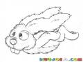 Dibujo De Conejo Volador Para Pintar Y Colorear Conejito Volando