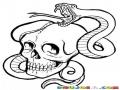 Dibujo De Un Craneo Con Una Culebra Serpiente Para Pintar Y Colorear