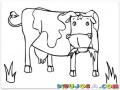 Dibujo De Vaca Comiendo Pasto Para Pintar Y Colorear