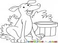 Dibujo De Perro En El Patio Para Pintar Y Colorear