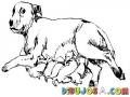 Dibujo De Perra Dando De Mamar A Sus Cachorros Para Pintar Y Colorear Chuca Amamantando Chuchitos