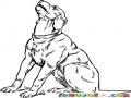 Chucho Ahuyando Para Pintar Y Colorear El Aullido De Un Perro