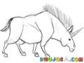 Dibujo De Unicornio Con Anabolicos Para Pintar Y Colorear