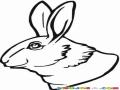 Cabeza De Conejo Para Pintar Y Colorear