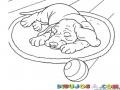 Dibujo De Perrito Durmiendo En Una Alfombra Para Pintar Y Colorear Cachorro Durmiendo
