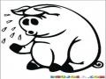 Gripe Porcina Dibujo De Cerdo Agripado Estornudando Y Con Mocos Para Pintar Y Colorear