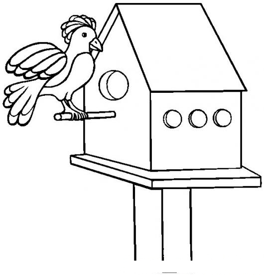COLOREAR PAJARO EN CASITA DE MADERA | DIBUJOS PARA PINTAR | Dibujos para Colorear COLOREAR PAJARO EN CASITA DE MADERA | DIBUJOS PARA PINTAR | Dibujos para Colorear
