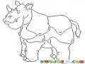 Dibujo De Un Rinoceronte Para Pintar Y Colorear