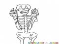 Dibujo De Calavera Miedosa Para Pintar Y Colorear Esqueleto Humano Con Miedo