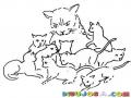 Dibujo De Gata Enojada Con Muchos Gatitos Para Pintar Y Colorear