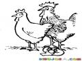 Dibujo De Gallina Y Gallo Con Un Huevo Quebrado Para Pintar Y Colorear
