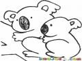 Dibujo De Oso Koala Con Su Hijo Koalita Para Pintar Y Colorear