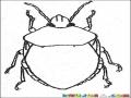 Ronron Dibujo De Escarabajo Ron Ron Para Pintar Y Colorear