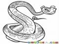 Culebra Mujer Dibujo De Serpiente Hembra Para Pintar Y Colorear Anaconda Coqueta Y Sexy