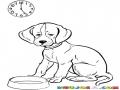 Perro Con Hambre Dibujo De Perrito Hambriento Sin Comida Para Pintar Y Colorear Hambruna Canina