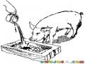 Dibujo De Cerdo Comiendo Para Pintar Y Colorear