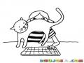 Dibujo De Gato Molestando En Frente De La Computadora Para Pintar Y Colorear