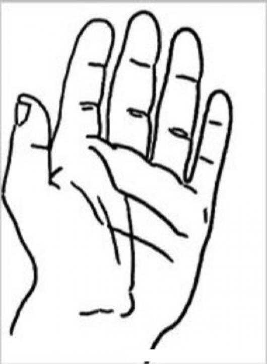 Dibujo De Una Mano Extendida Para Pintar Y Colorear La Palma De La Mano Colorear Dibujos Varios Dibujo De Una Mano Extendida Para Pintar Y Colorear La Palma De La