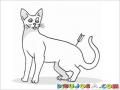 Gato Flechado Dibujo De Gato Con Una Flecha En Su Trasero Para Pintar Y Colorear